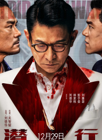 免费xxx成年大片